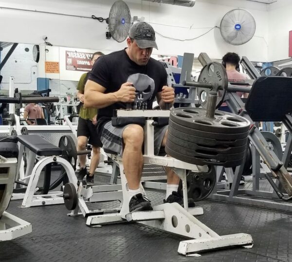 Dolphin Fitness