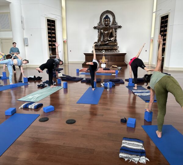 Ny Loves Yoga