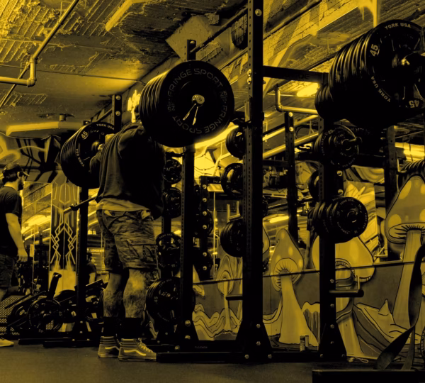 Absolute Power Fitness