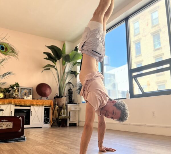 Jivamukti Yoga Collective