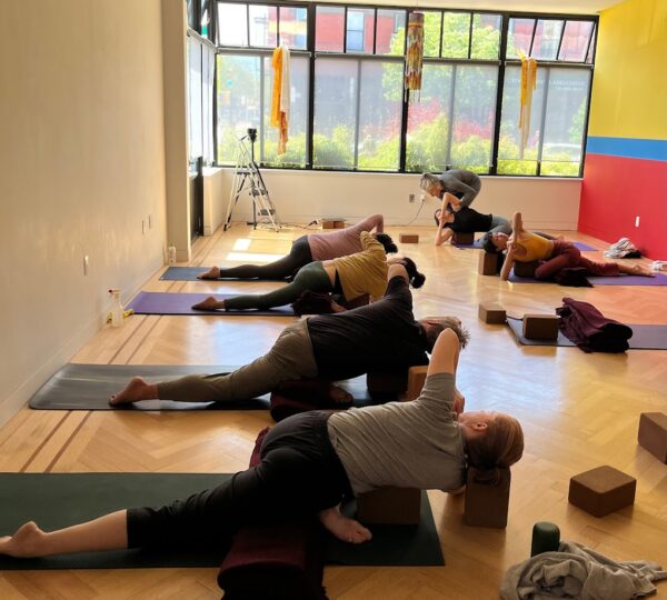 Yogis & Yoginis