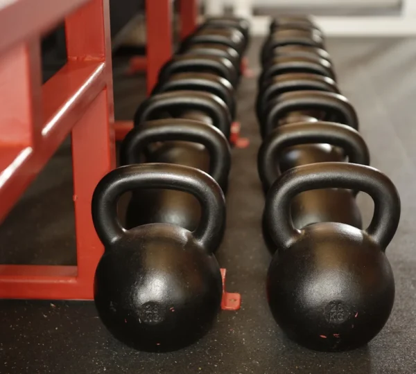 Alpha Lycan Gym