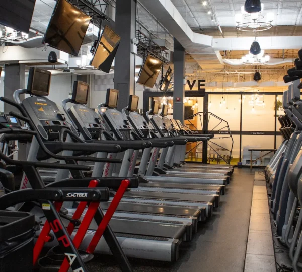 Harbor Fitness Park Slope