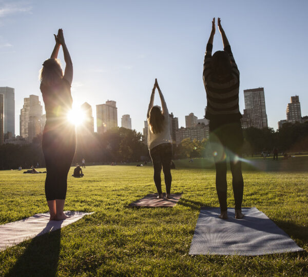 The Yoga Trail