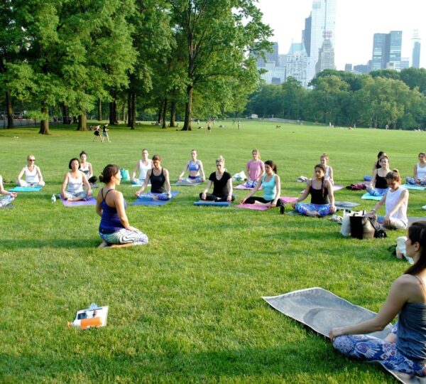 The Yoga Trail