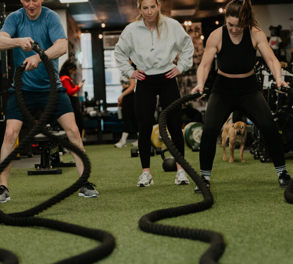 The Strength Club NYC