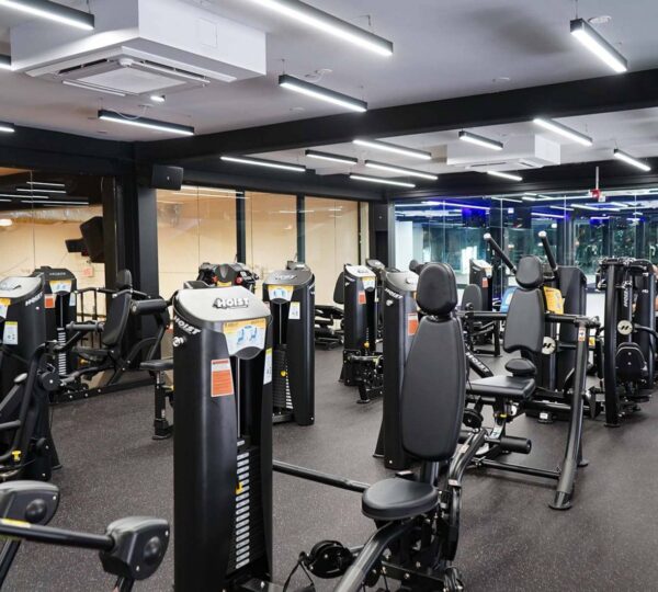Vibe Fitness