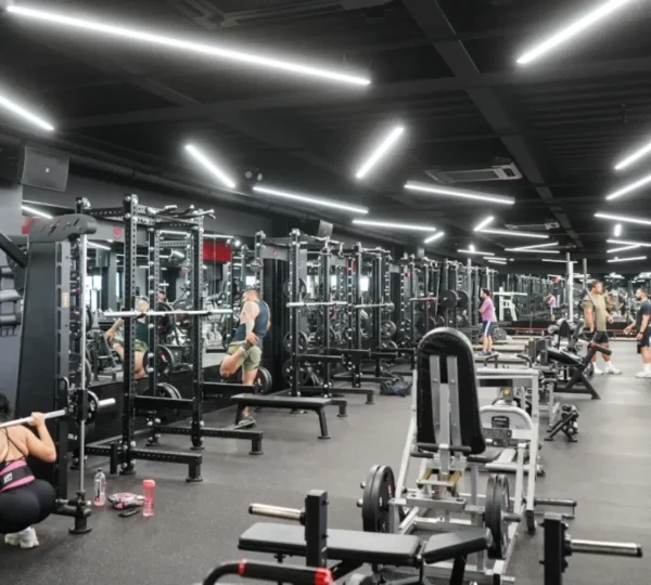 Vibe Fitness