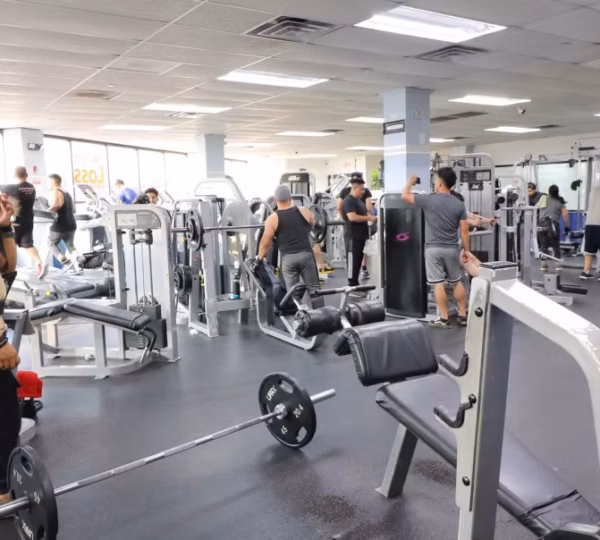 Executive Fitness Gym