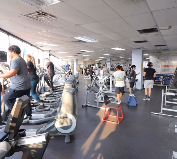 Executive Fitness Gym