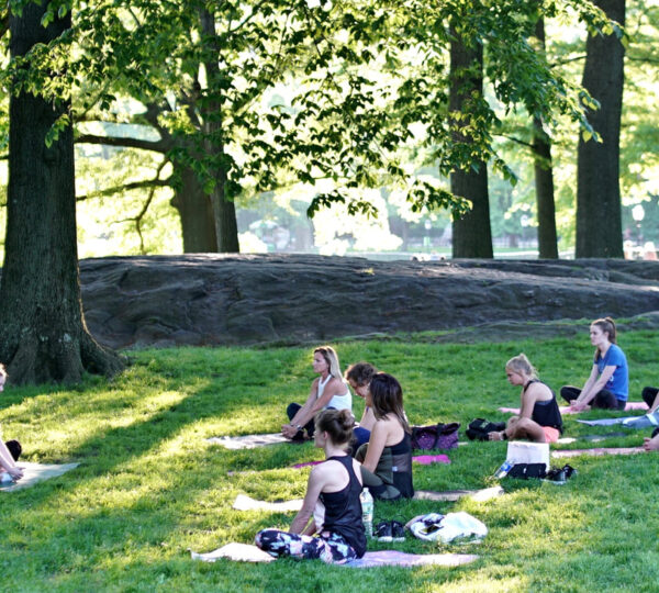 The Yoga Trail
