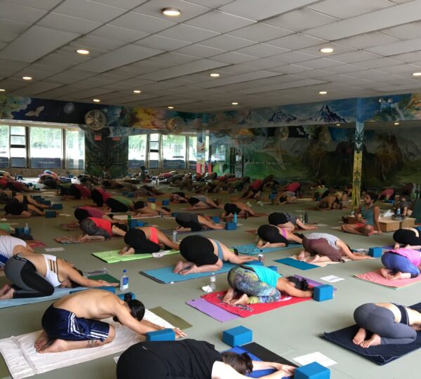HotYoga4You Rego Park