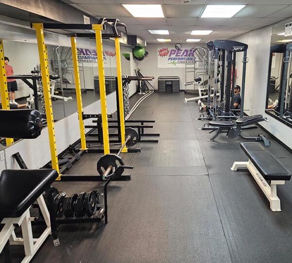 Gym 33