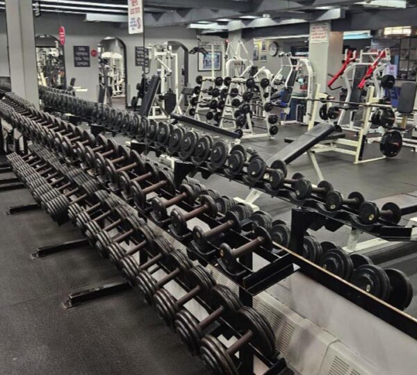 Gym 33