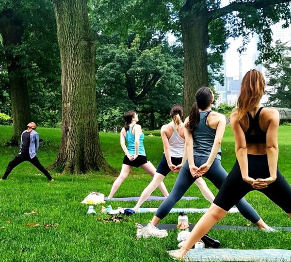 The Yoga Trail