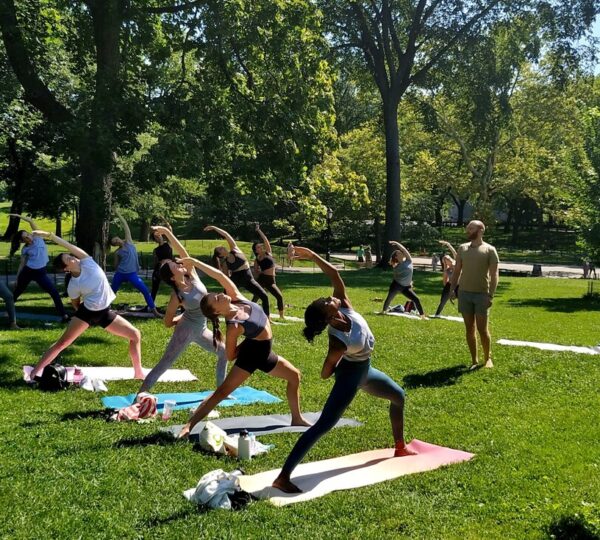 The Yoga Trail