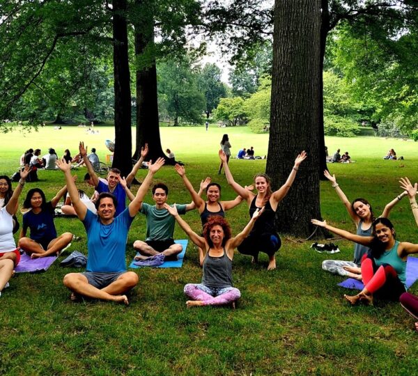 The Yoga Trail