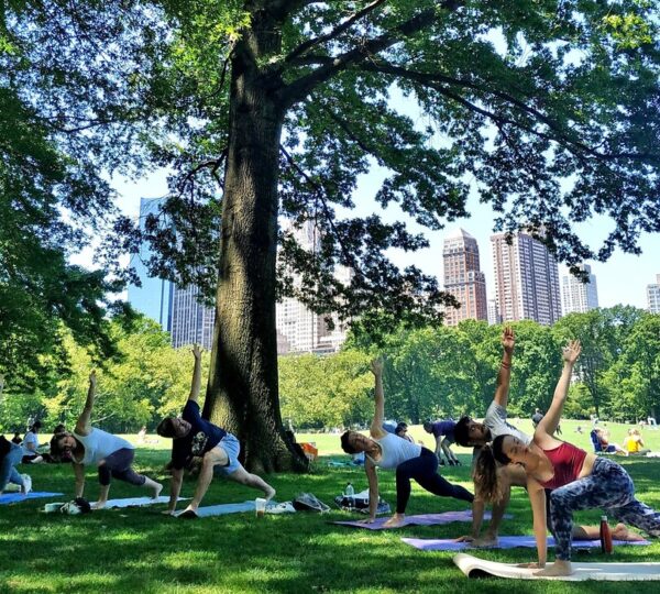 The Yoga Trail