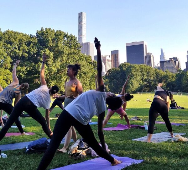 The Yoga Trail