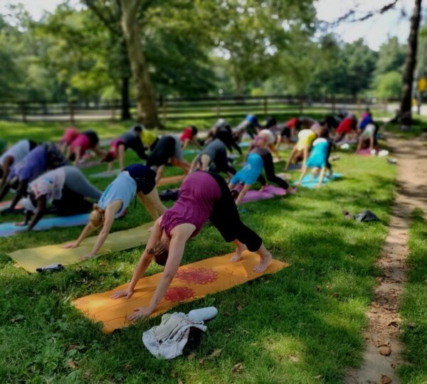 YogaSole Windsor Terrace