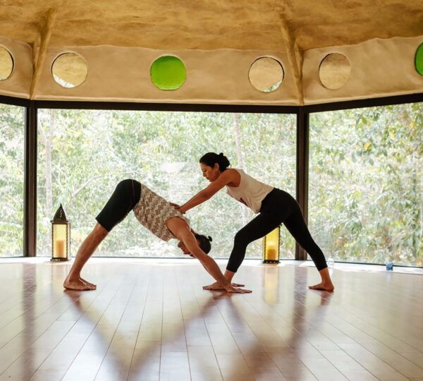 Frequency Movement Yoga