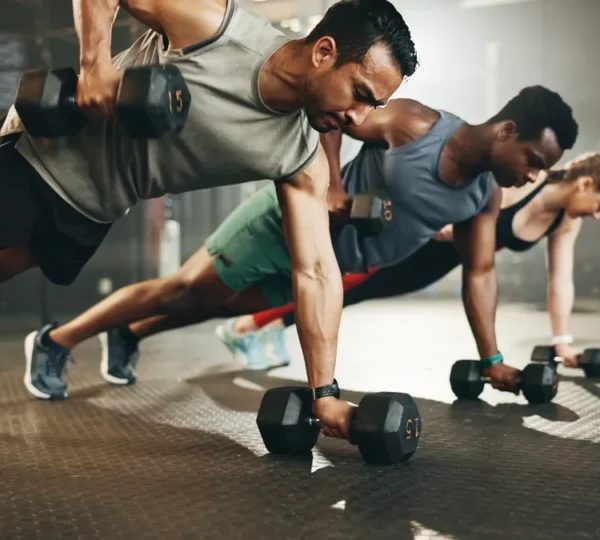 Alpha Lycan Gym