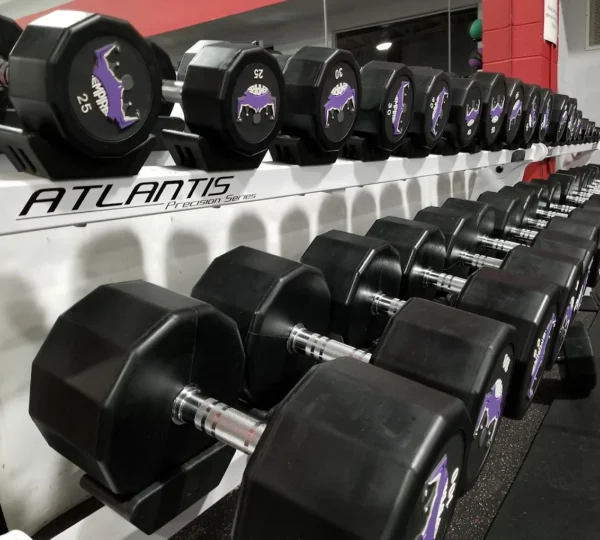 The NYC Fitness Club
