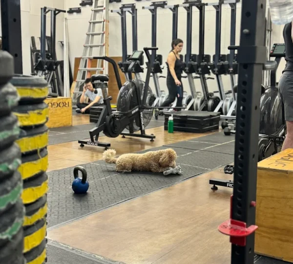CrossFit Hell's Kitchen NYC