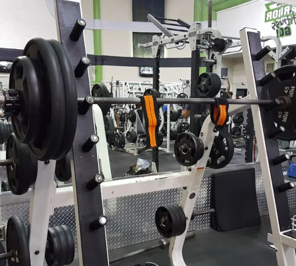 Harbor Fitness Go