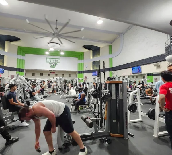 Harbor Fitness Go