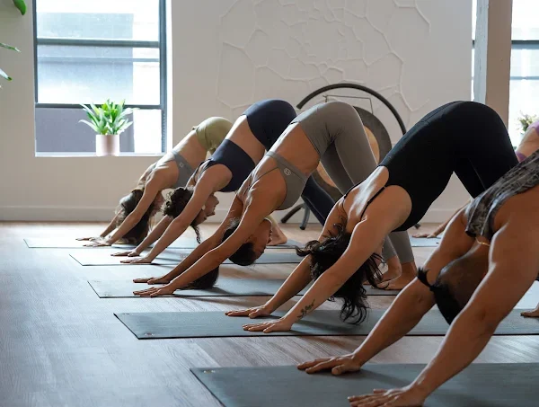 Form + Flow Waterfront