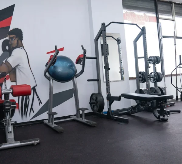 Malik Haynes Fitness