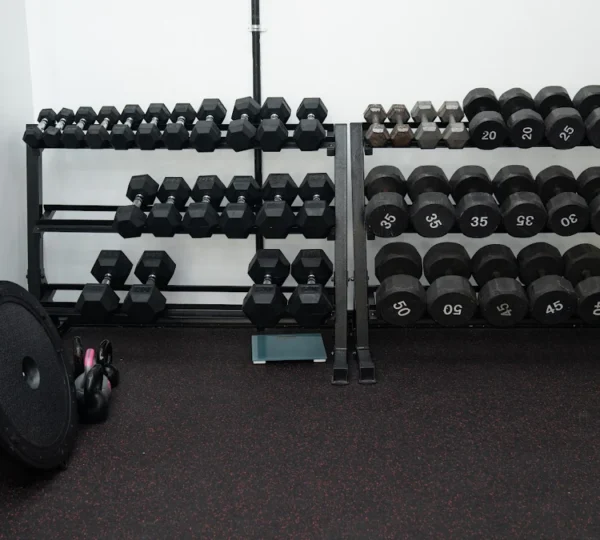 Malik Haynes Fitness