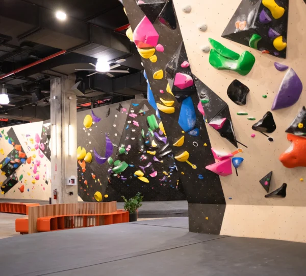 Vital Climbing Gym