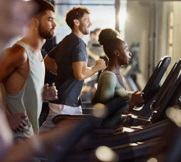 Icon Gym
