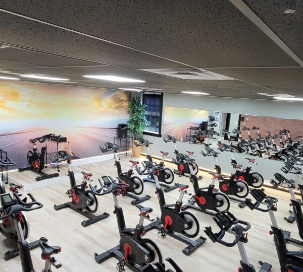 FitLife East Islip