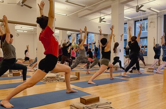 Iyengar Yoga Institute of New York