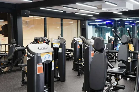 Vibe Fitness BQE