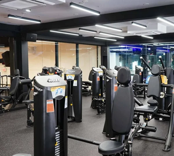 Vibe Fitness BQE