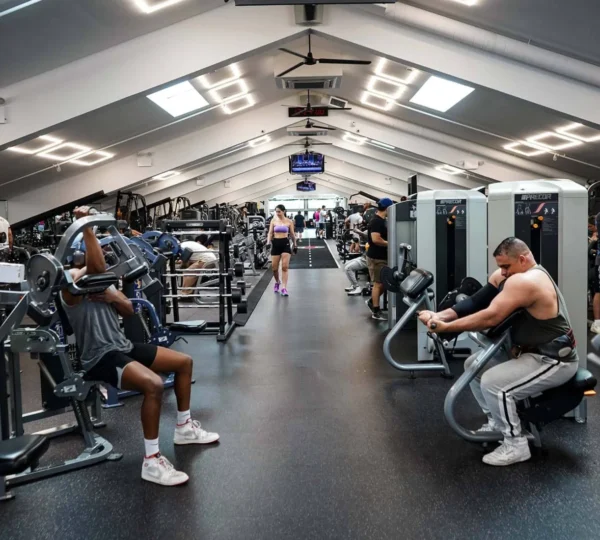 Vibe Fitness BQE