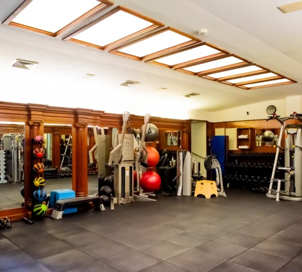 Elysium Fitness