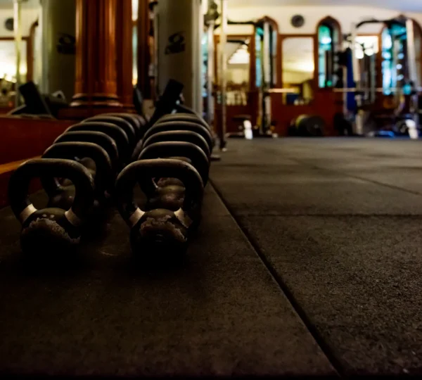 Elysium Fitness