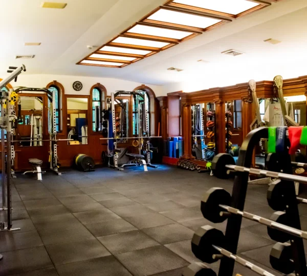 Elysium Fitness