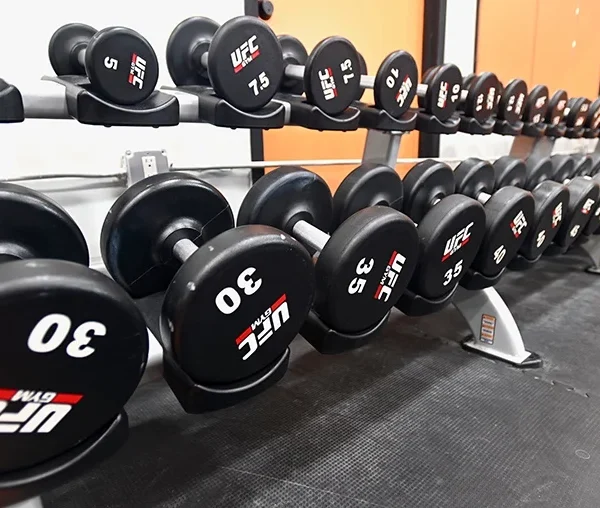 Williamsburg Fitness