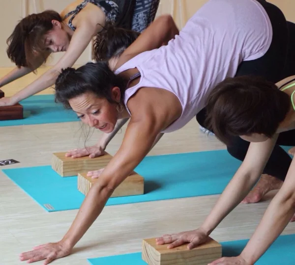 Jivamukti Yoga New York