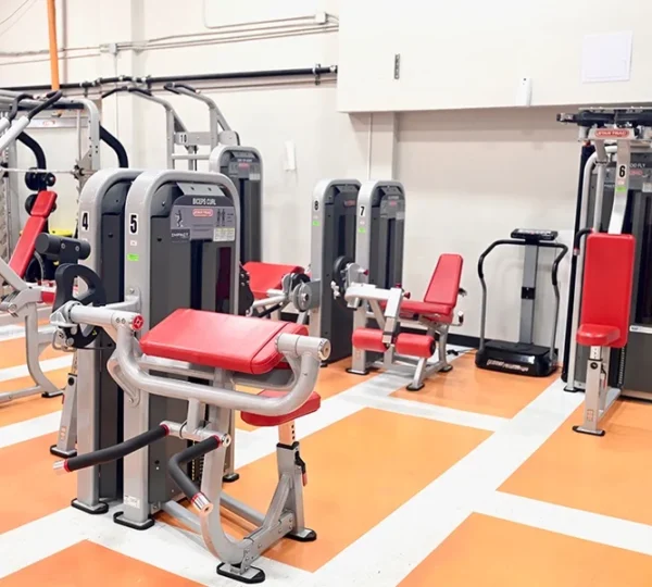 Williamsburg Fitness