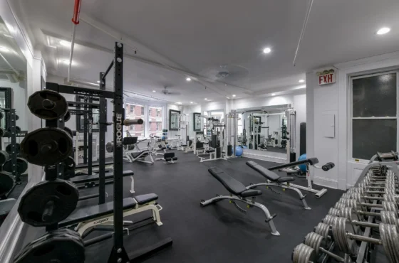 Iconoclast Fitness