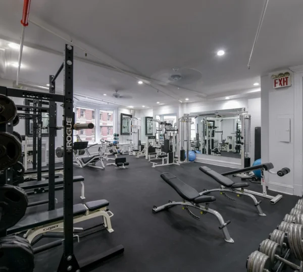 Iconoclast Fitness