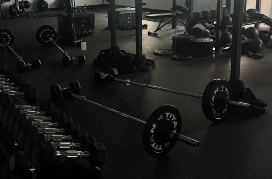 Beast Fitness