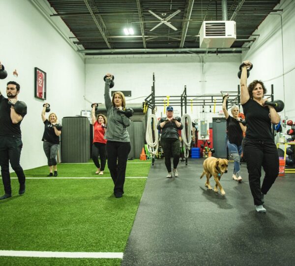 ELITE Strength & Performance
